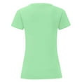 thumbnail image 2 of Fruit of the Loom Womens Iconic 150 T-Shirt, 2 of 4