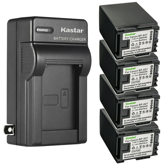 Kastar 4-Pack Battery and AC Wall Charger Replacement for Canon VIXIA HF100, VIXIA HF200, VIXIA HG30, VIXIA XA10 XA10 HD, FS10 Flash Memory Camcorder, FS100 Flash Memory, FS11 Flash Memory Camcorder