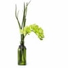 Orchid In Tall Glass - Green