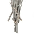 thumbnail image 5 of Vickerman Natural Botanicals 11" x 4" Bellgum Branch, 5-7 Bells, Ivory Frosted, 10 stems per unit, 5 of 7