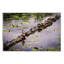 Stupell Industries Bird on Turtle Backs Landscape Photography Unframed Art Print Wall Art, 19 x 13