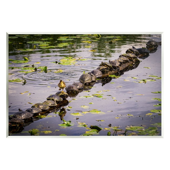 Stupell Industries Bird on Turtle Backs Landscape Photography Unframed Art Print Wall Art, 15 x 10