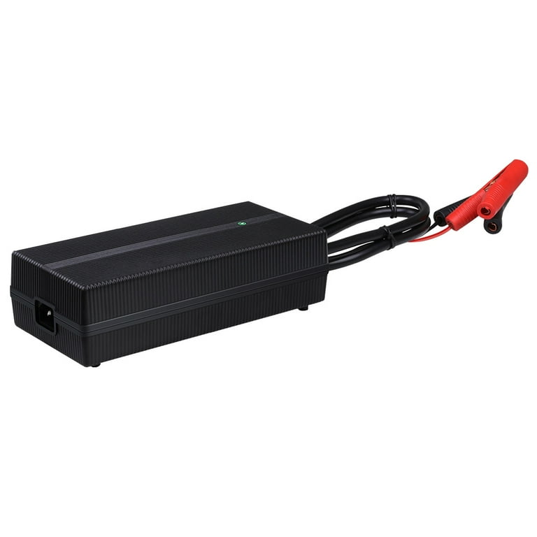 Renogy 20A AC-to-DC LFP Portable Battery Charger - Walmart.com