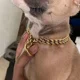 thumbnail image 5 of Collar De Cadena Grande Para Perros De Entrenamiento, Resist, 5 of 8