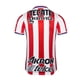 thumbnail image 2 of Jersey Puma Chivas Local Jugador Hombre 20-21 70481301, 2 of 3