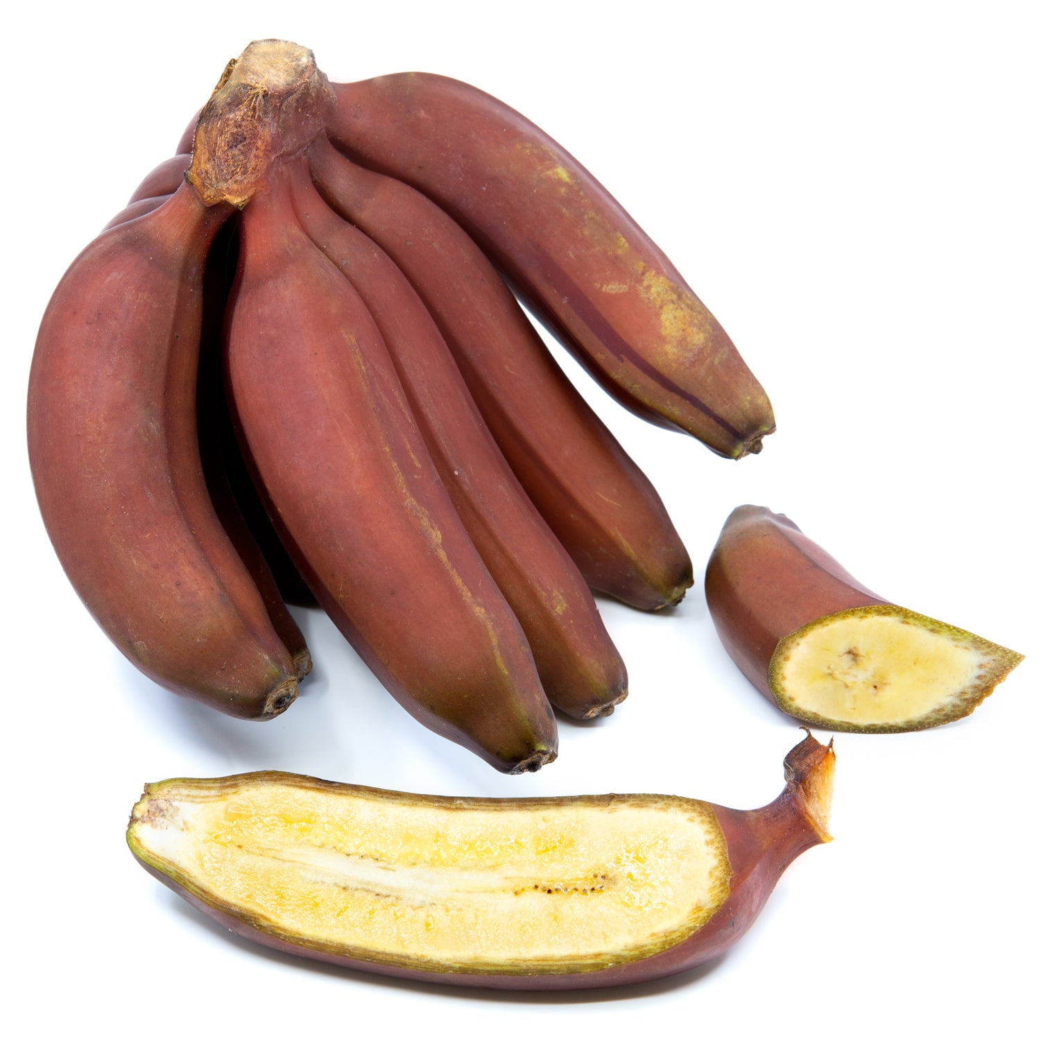 Congo Brand Red Banana Plantain Shipping Included 