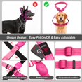 thumbnail image 4 of Chaleco para perro Light Up PzrLit LED recargable a prueba de agua, 4 of 6