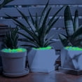 thumbnail image 5 of 100pcs Luminous Stone Fish Tank Garden Fluorescent Micro Luminous Stone Turtle Molds for Cement in The Dark Gravel Aquarium Outdoor Cactus Decorations Extra Large Outdoor Planter Glow in The Dark, 5 of 8