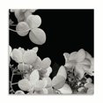 thumbnail image 2 of Gango Home Decor Flower Cluster 1 by Jim Christensen (Printed on Paper); One 24x24in Fine Art Paper Giclee Print, 2 of 4
