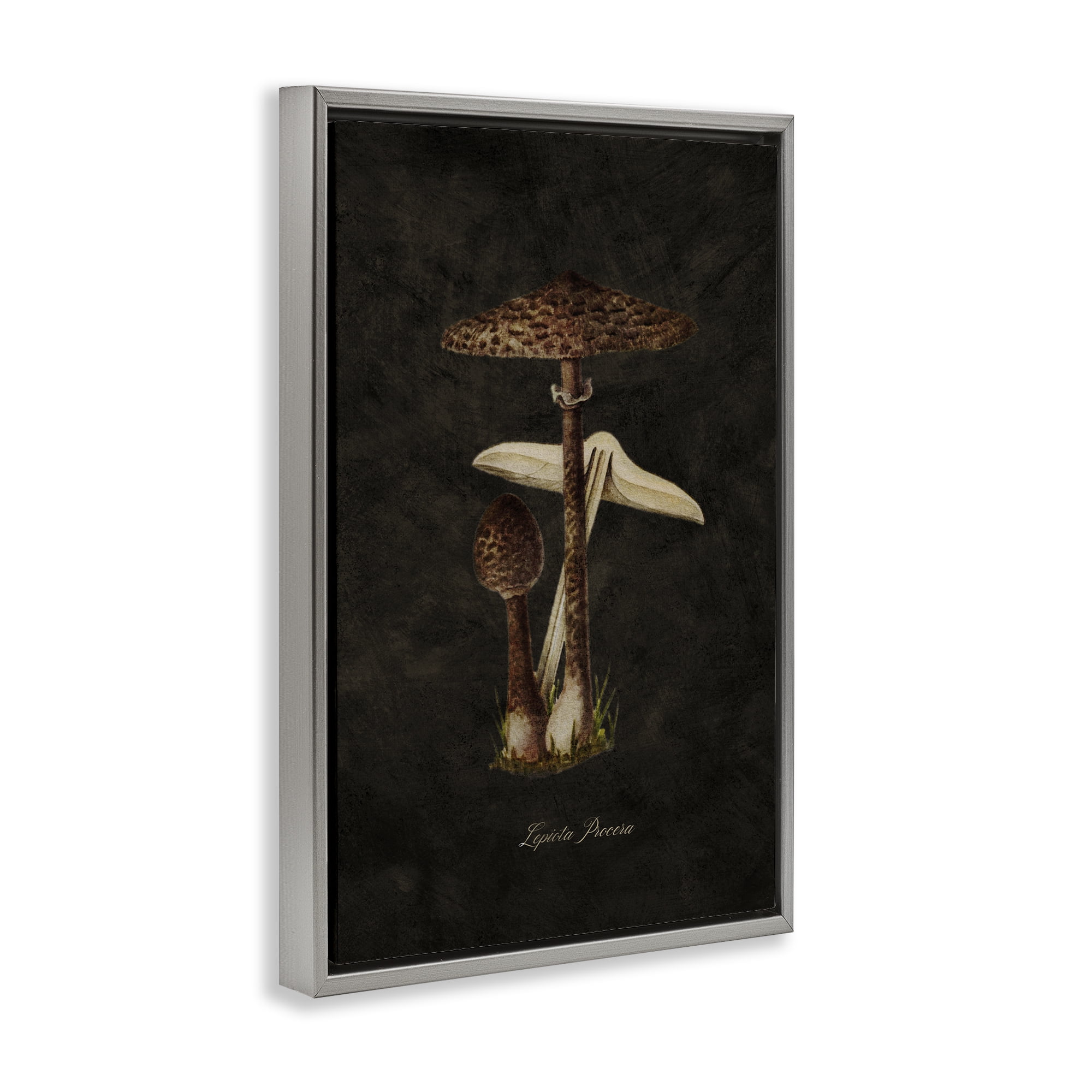 Stupell Industries Dark Woodland Mushroom Plants & Flowers Painting Gray Floater Framed Canvas Art Print Wall Art, 17 x 25