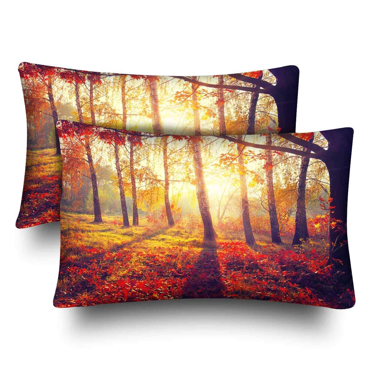 GCKG Autumn Fall Autumnal Park Trees Leaves Pillow Cases Pillowcase 20x30 inches Set of 2 Pillow