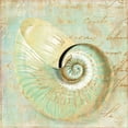 thumbnail image 2 of Sophie 6 20x20 Black Ornate Wood Framed with Double Matting Museum Art Print Titled - Beach Nautilus I, 2 of 4