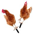 thumbnail image 4 of Milisten 2Ud Stakes De Gallina Decorativas En Acrílico Para Jardín Con Punta Para Fácil Instalación, 4 of 8