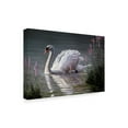 thumbnail image 2 of Trademark Fine Art 'Summer Idyll Mute Swan' Canvas Art by Wilhelm Goebel, 2 of 3