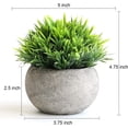 thumbnail image 2 of Hirsch Plantas falsas para decoración del baño/oficina del hogar, pequeñas plantas artificiales de imitación para decoración del hogar (plantas en maceta), 2 uds., 2 of 5