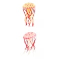thumbnail image 1 of Modelo de Medusa Modelo de Oceácas de Aprendizaje Juguete ños Rosa+Modelo de Medusa Modelo de Oceácas de a Zulema Medusas simuladas, 1 of 8