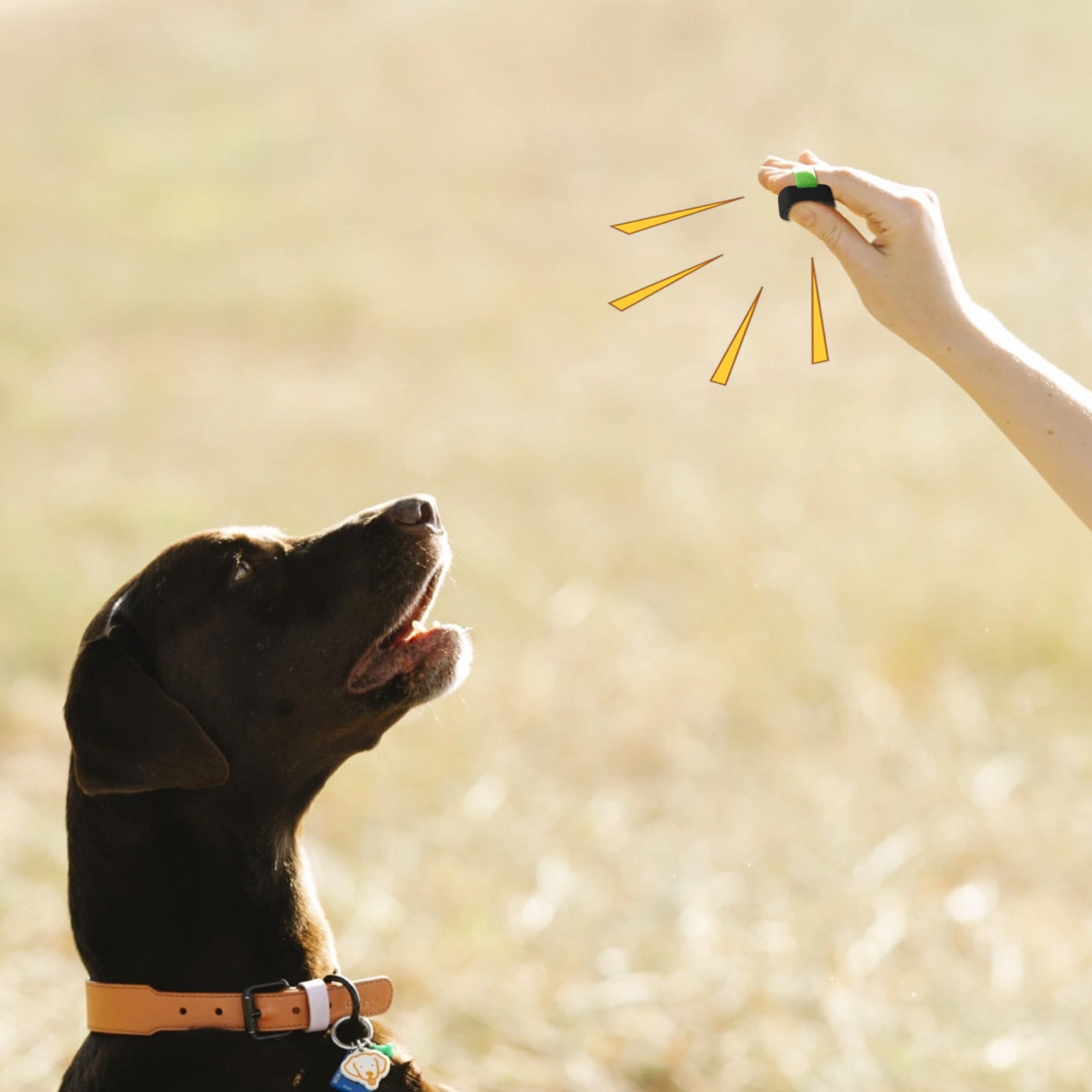 AuroraX Dog Training Clicker Device Dog Obedience Clicker Tool Universal Easy to Use Durable Portable Pet Supplies for Dog Cat Black