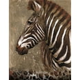 thumbnail image 2 of Pinto, Patricia 26x32 Black Ornate Wood Framed with Double Matting Museum Art Print Titled - Brown Zebra, 2 of 4