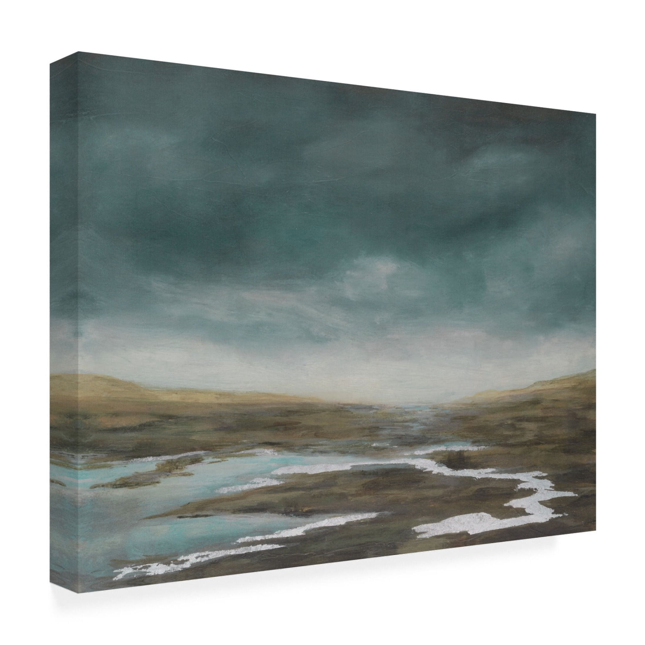 Trademark Fine Art Michael Willett  Basin Squall II Canvas Wall Art