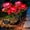 Red, variant on DAYBETTER Solar Garden Lights with 5 Rose Flowers, 2 Modes, LED Waterproof Outdoor Solar Lights for the Garden Yard Patio Pathway, Blue, 2 Pack