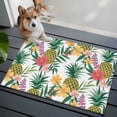 thumbnail image 3 of Pineapple Entryway Rug 2'x3'&nbsp; Non Slip Front Door Mats, Summer Nature Tropical Fruit Flowers Leaves Entrance Rugs Indoor Outdoor Carpet, Washable Floor Mats Small Area Rug for Bedroom Kitchen, 3 of 8