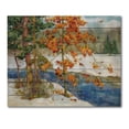 thumbnail image 3 of Designart 'Stream Through The Winter Forest I' Lake House Print on Natural Pine Wood, 3 of 5