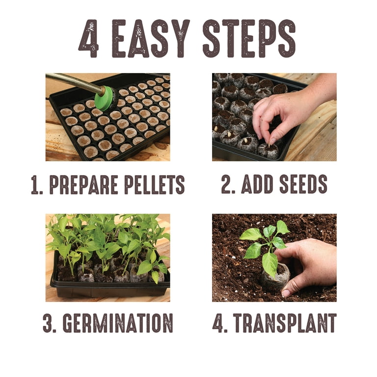 Jiffy Seed Starter Greenhouse Kit, 16 Cell with Peat Pellets photo 5