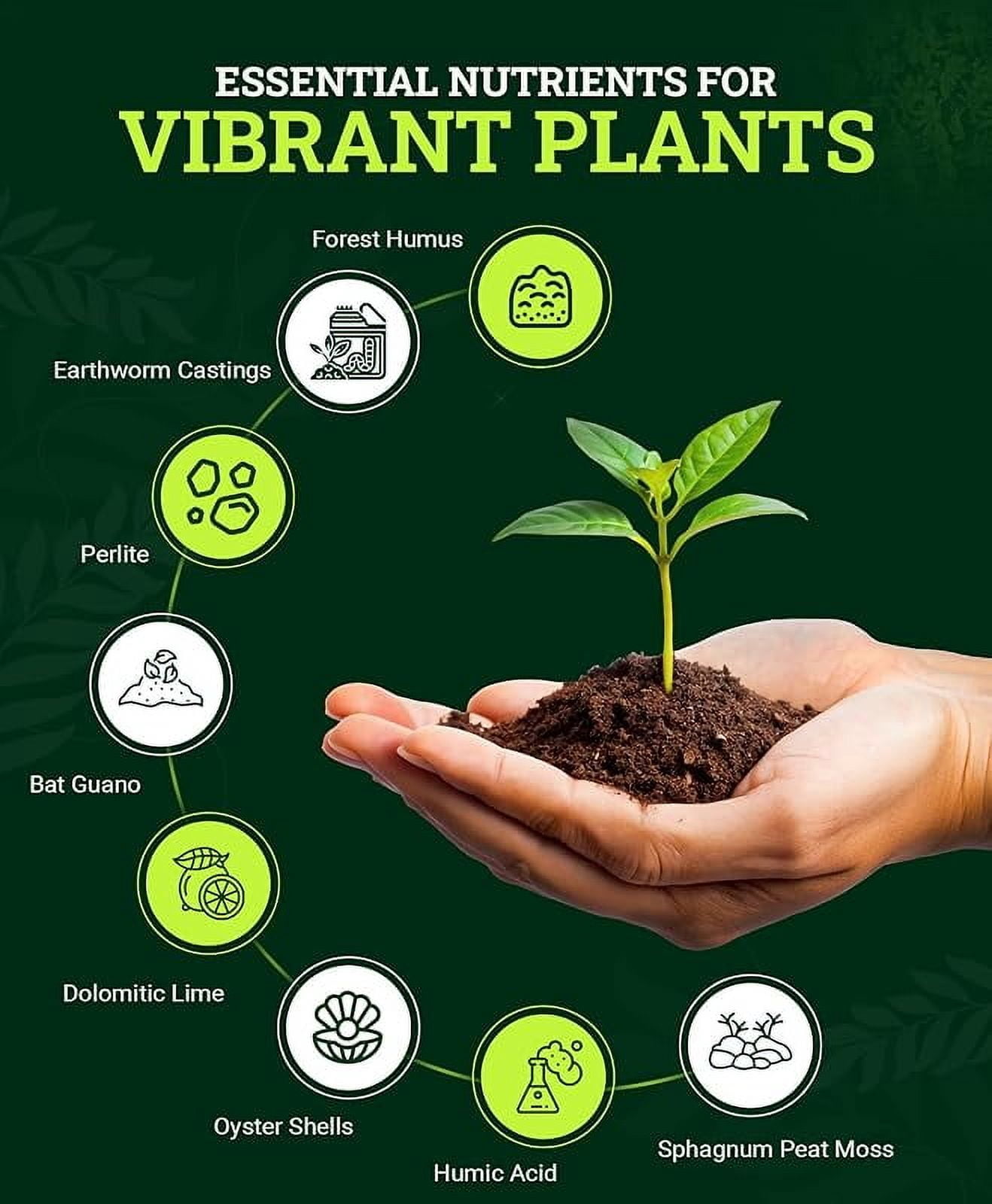 Happy Frog Potting Soil, 12qt – for Indoor/Outdoor Container Plants, Improves Root Efficiency, pH Adjusted for Optimal Nutrient Uptake – Contains Microbes and Humic Acids (Pack of 4)
