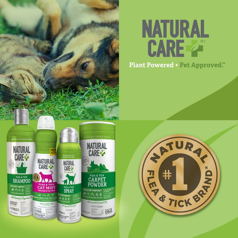 Flea and top tick natural treatment