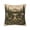 A, variant on Vintage Rustic Brown Bear Throw Pillow Cover 15.75x15.75 Inch, Wildlife Mountain Forest Cabin Decorative Pillow Case for Sofa Couch, Country Lodge Home Decor
