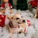 thumbnail image 3 of Navidad Elk Muñeco de nieve Juguete para mascotas Tema de festival resistente a las mordeduras para perros grandes y pequeños JShteea  El nuevo, 3 of 6