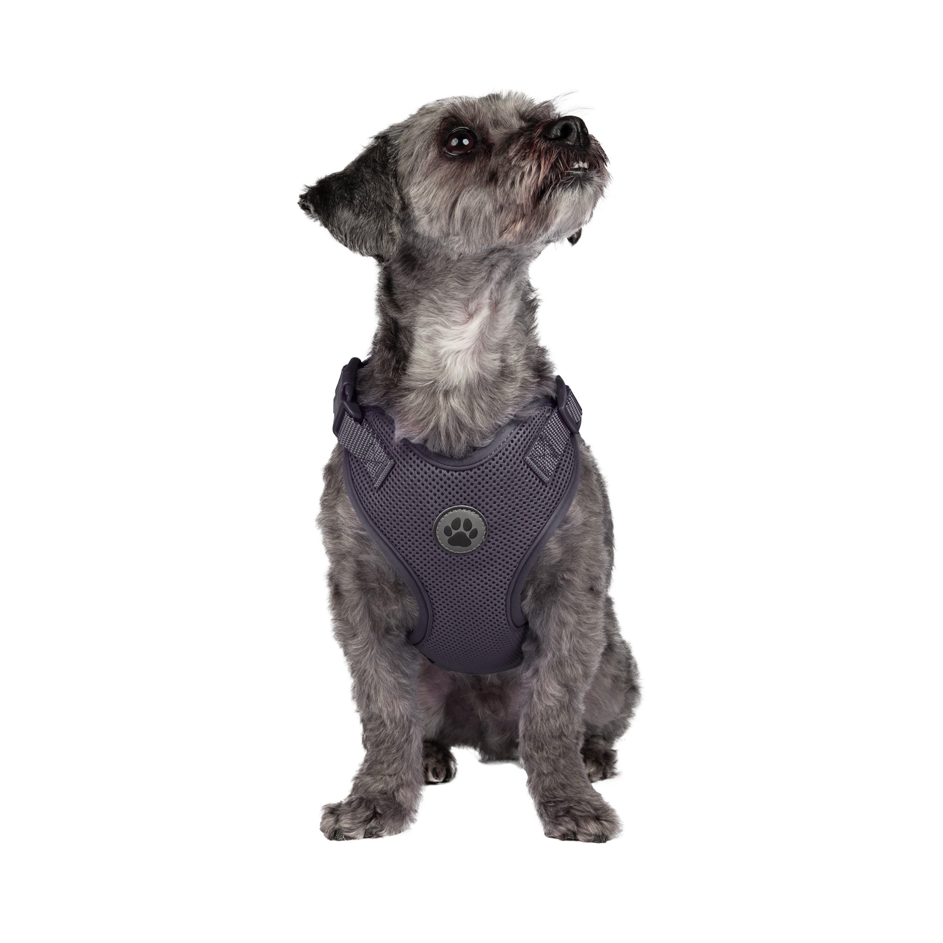 Vibrant Life Polyester Mesh Adjustable and Reflective Dog Walking Harness, Gray, S