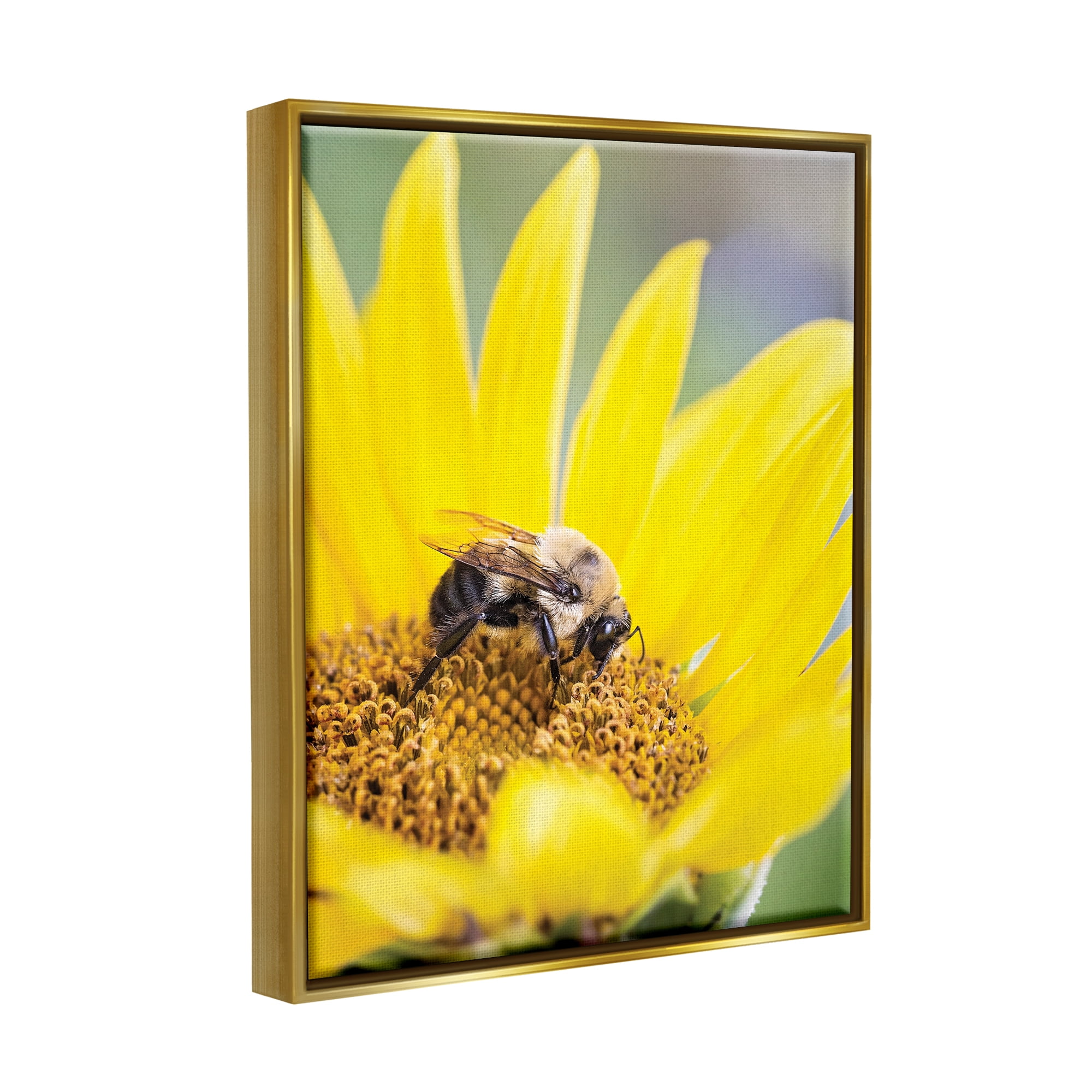Stupell Industries Bee & Sunflower Photography Animals & Insects Photography Gold Floater Framed Art Print Wall Art, 25 x 31