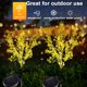 thumbnail image 4 of Luz solar para jardín de flores de colza. Para patios, jardines, terrazas, céspedes, pasillos., 4 of 5