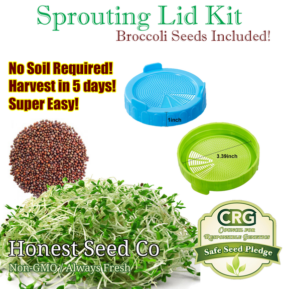 Sprouting Lid Kit w/ Broccoli Seeds | Non-GMO | Includes 2 Lids Broccoli Seeds