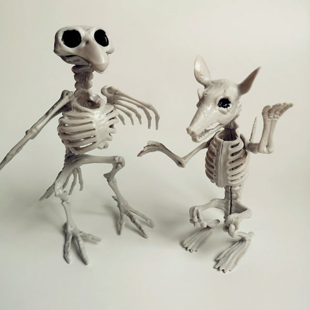 Huesos de esqueleto de animales para Halloween, huesos de esqueleto de animales de Halloween Huesos de esqueleto de animales Huesos de esqueleto de animales de