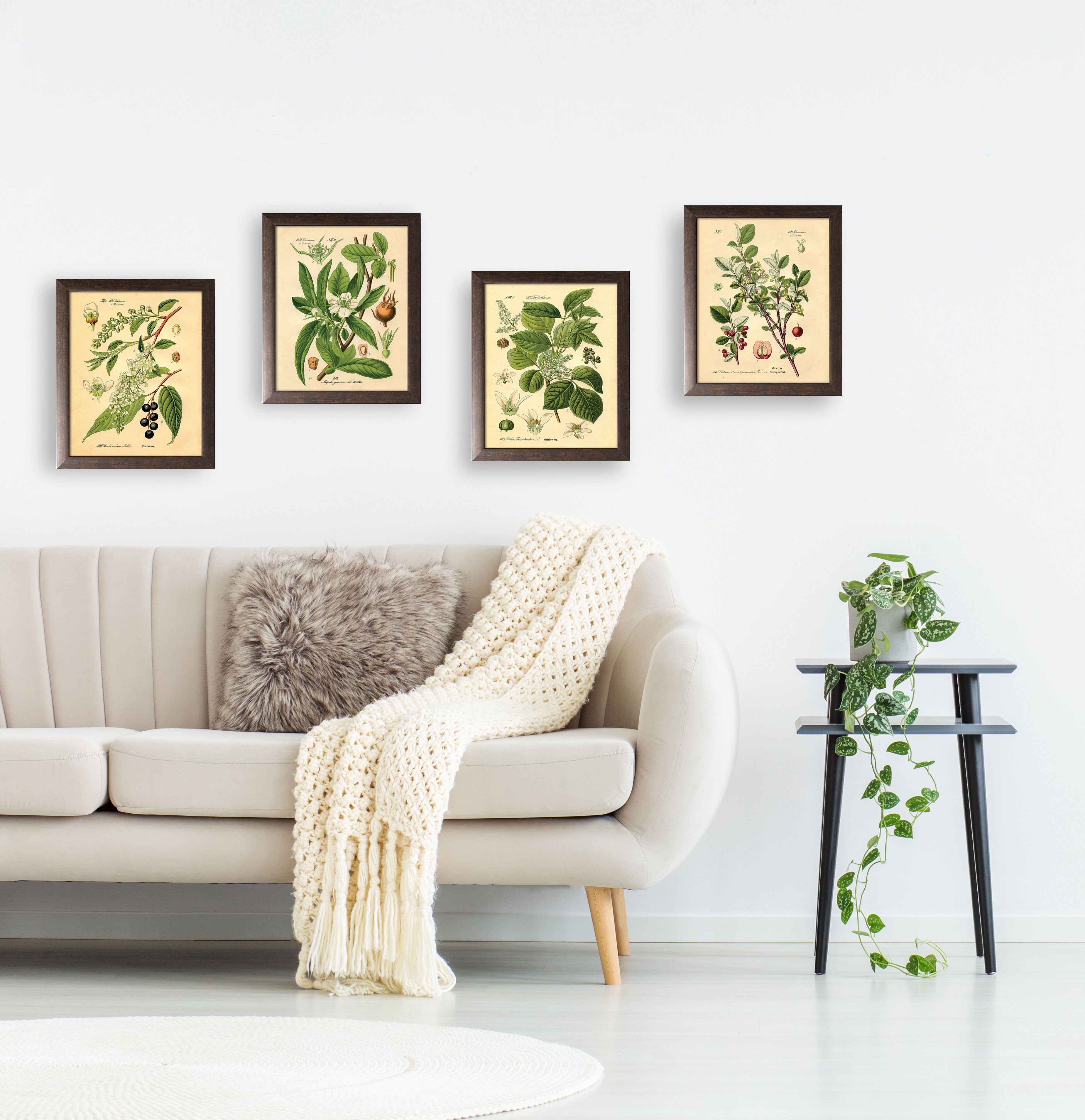 Gango Home Decor Vintage Plant Botanical Wall Art Four Green 8x10in Art Prints In Brown Frames Walmart Com Walmart Com