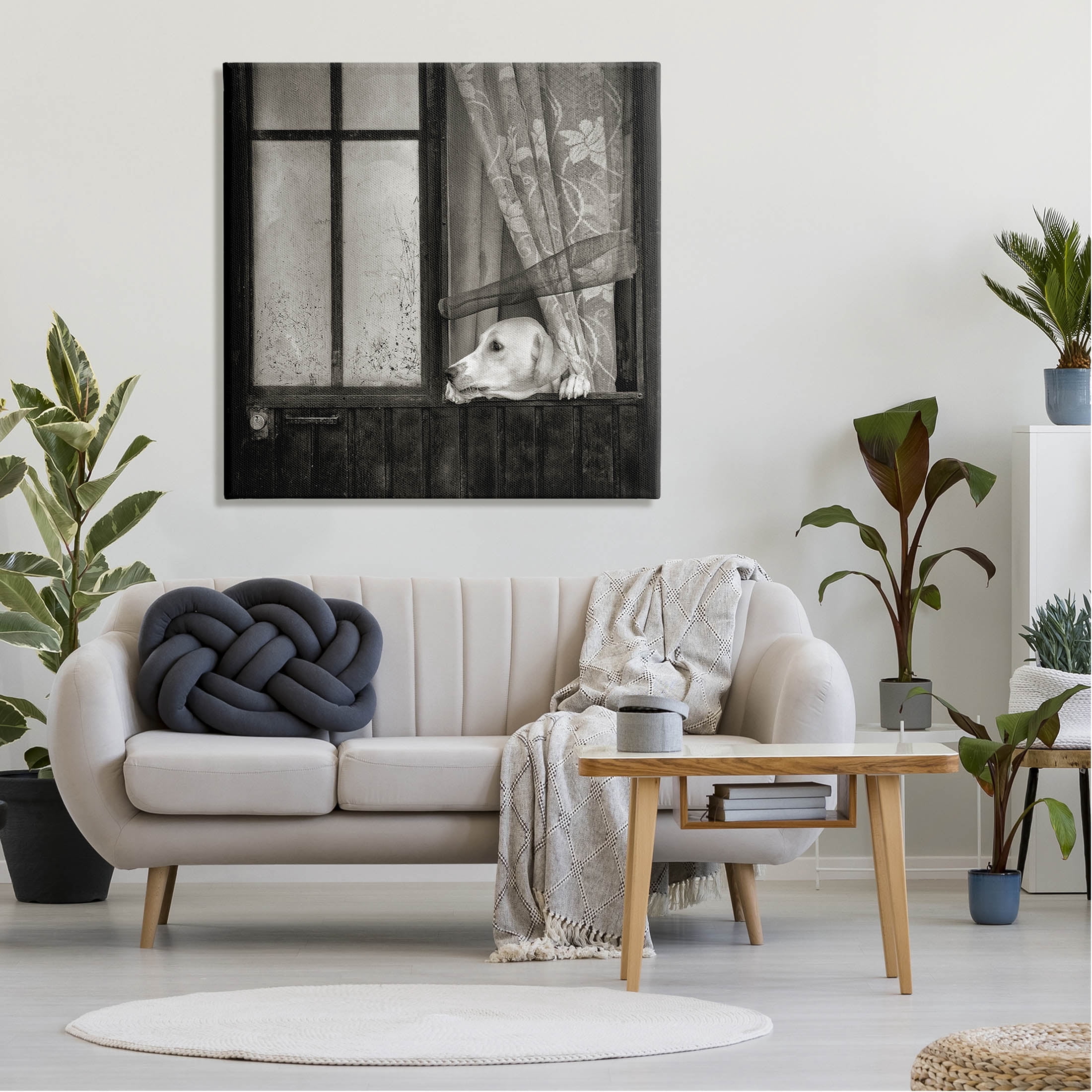 Stupell Industries Labrador Dog Farmhouse Barn Door Photograph Gallery Wrapped Canvas Print Wall Art, Design by David Lorenz
