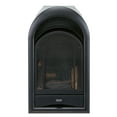 Ventless Fireplace Insert Thermostat Control Arched Door 15,000