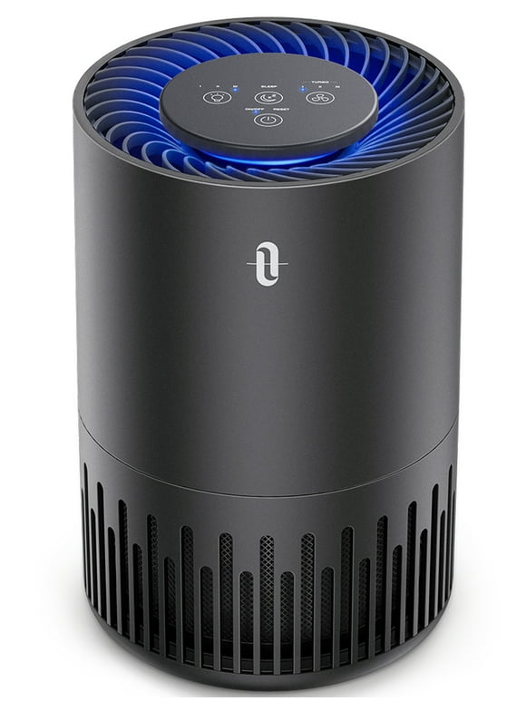 Mold Air Purifiers in Air Purifiers