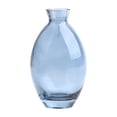 thumbnail image 1 of Florero de estilo nórdico Decoración Centro de mesa transparente Maceta Adorno Maceta Terrario Maceta para fiesta Boda Sala de estar Mesa de hogar Azul Altura 12cm Sunnimix Jardinera de jarrones, 1 of 8