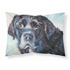 Black Labrador Face Fabric Standard Pillowcase-30 x 20.5-
