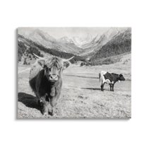 Stupell Industries Curious Ox Clueless Cow Sublime Farm Plains,20 x 16, Design by Danita Delimont