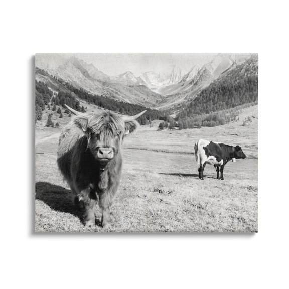 Stupell Industries Curious Ox Clueless Cow Sublime Farm Plains,20 x 16, Design by Danita Delimont