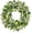 Green-24 26inch, variant on 22 Inch Artificial Spring Summer Greenery Wreaths for Front Door Green Eucalyptus Leaf Wreath Decor Boxwood with Big Berries for Outside Year Round