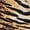 Brown, variant on Womens Lingerie For Women Sexy Leopard Print Bodycon Mini Dress Spaghetti Strap Mesh Club Dresses