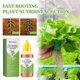 thumbnail image 2 of 1-3X Solución nutritiva de enraizamiento rápido para plantas Promotor de crecimiento 3 piezas, 2 of 5