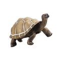 thumbnail image 1 of relayinert Modèle d'Animal Tortue Jouet Simulé Mode Mini Animal Solide pour Aides Pédagogiques, 1 of 5