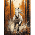 thumbnail image 1 of Qisvanset 12x16 Inch 2D Flat Framed Canvas Art, White Horse Gallop Autumn Forest Equestrian Western Farmhouse Wall Art, 1 of 5
