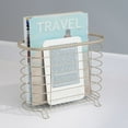 mDesign Steel Magazine Holder Storage Organizer Bin Satin